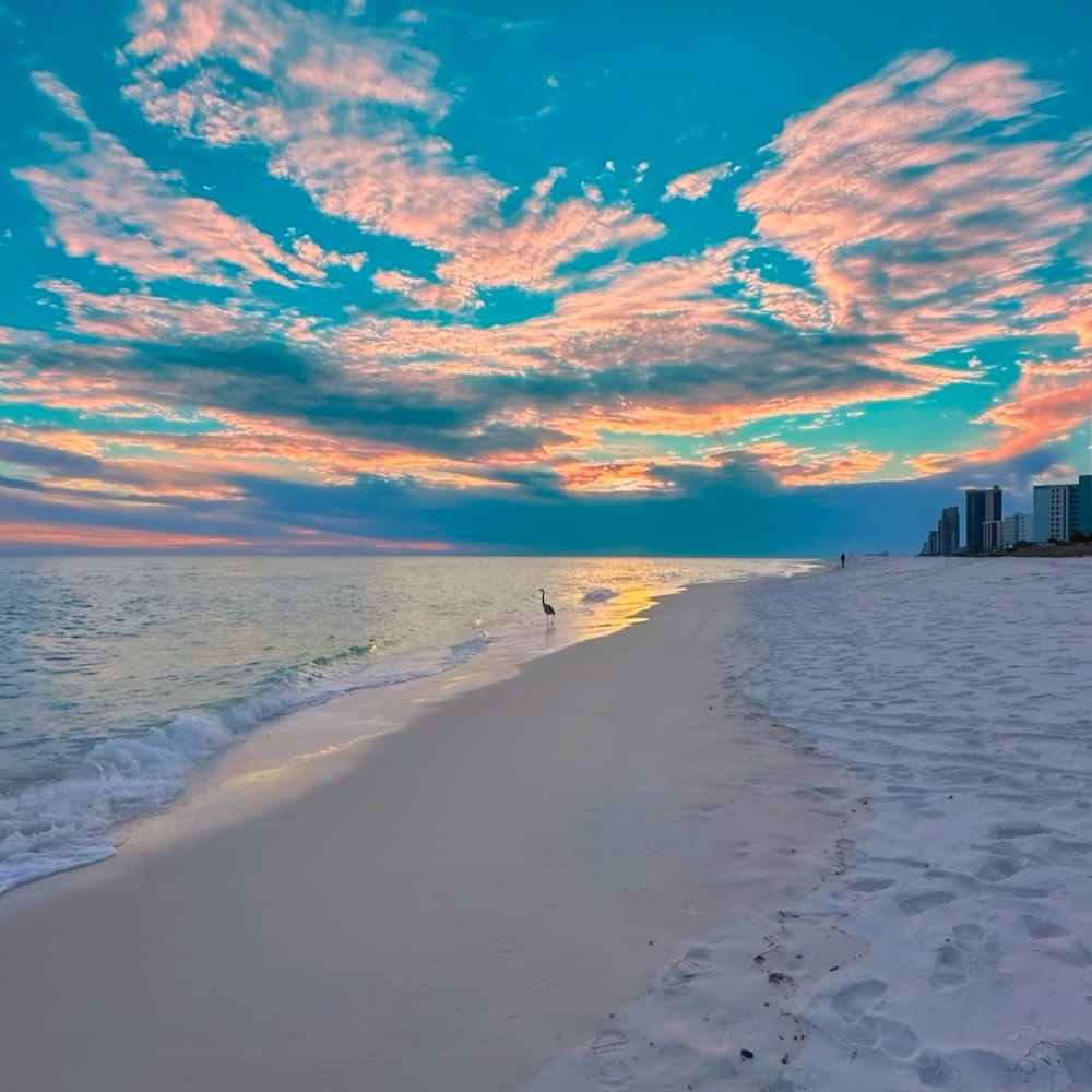 ✈️♦️Miami Beach Sunset